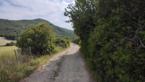 cilento_accuvato_cala_pastena_tresino_agropoli_trentova-estate_mare_bagno2